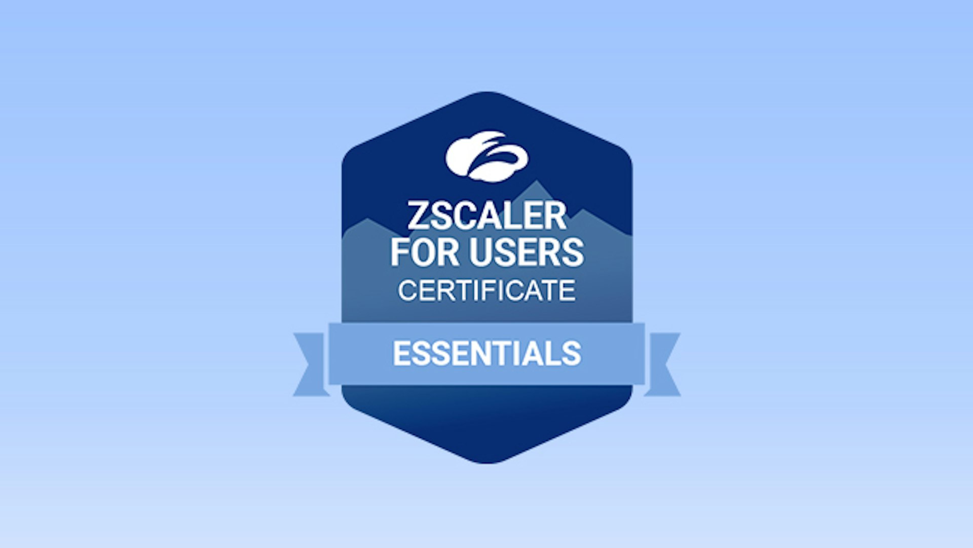 Zscaler for Users (Zscaler para usuarios): capacitación para Essentials (EDU-200)